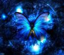 Avatar butterfly211