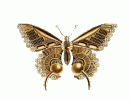 martyna_86's Avatar