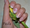 paula2610's Avatar