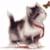 marlena.micha23's Avatar