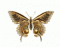 martyna_86's Avatar