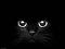Joannaa's Avatar