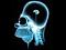 evva's Avatar